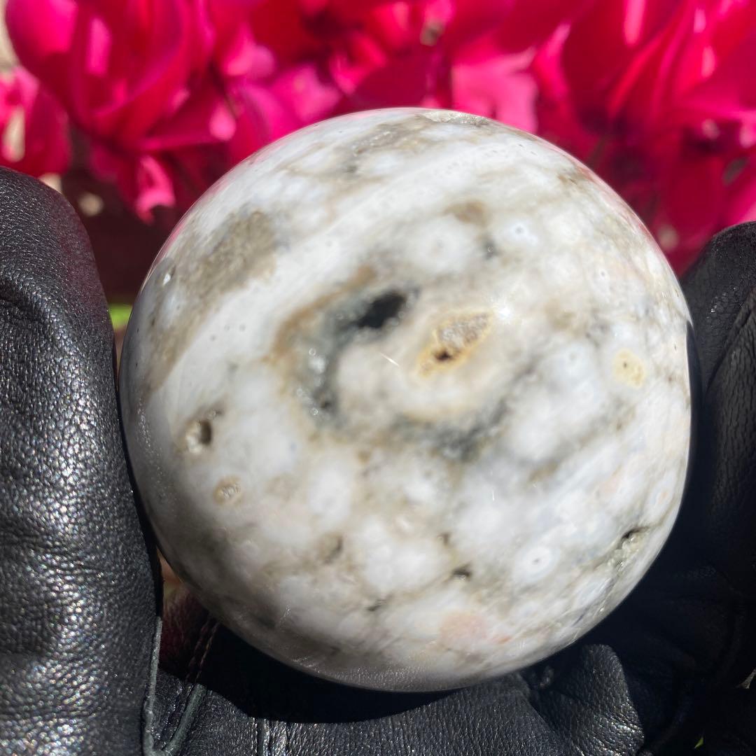 1個限定!! 8thveinジャスパー  エイスベインオーシャンジャスパー