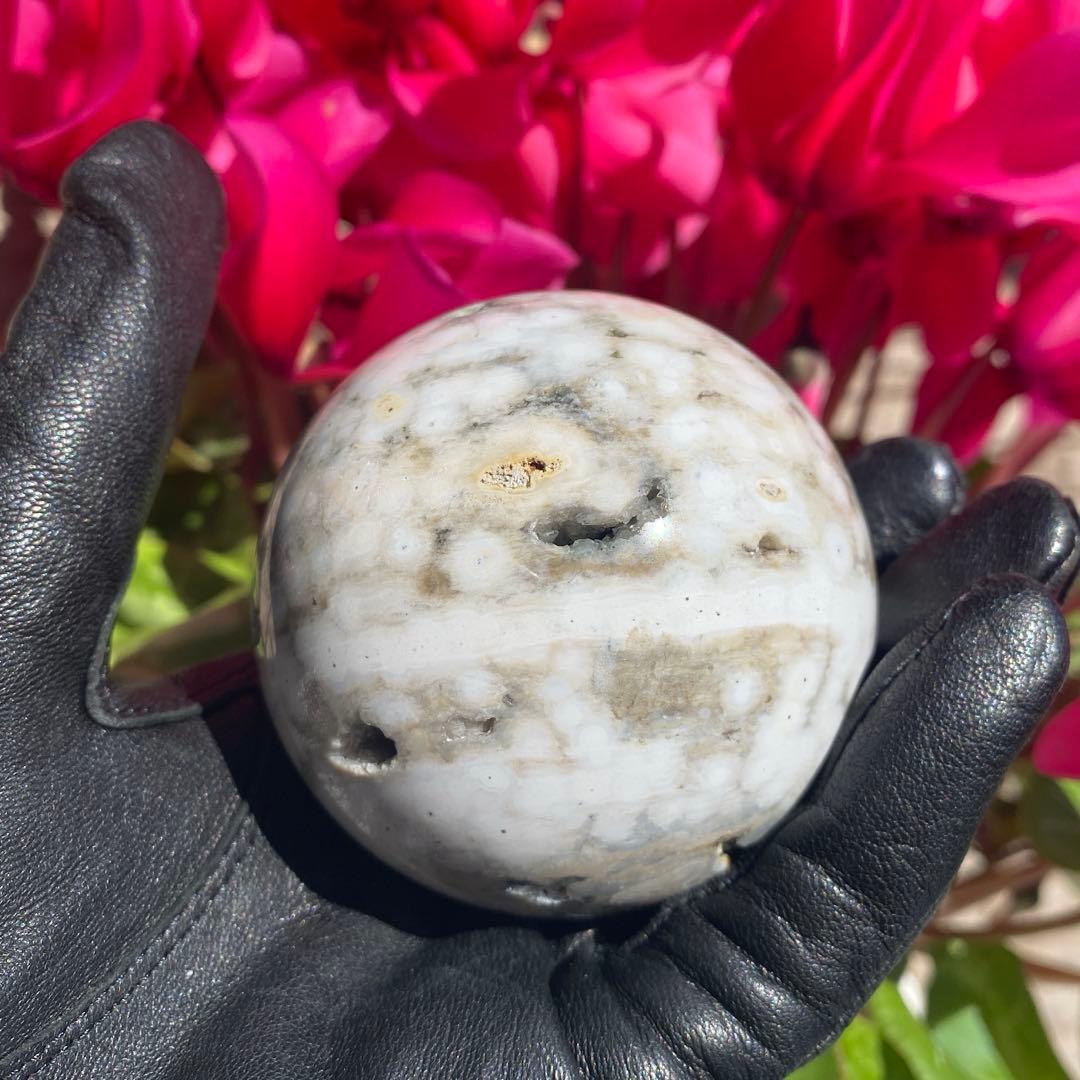 1個限定!! 8thveinジャスパー  エイスベインオーシャンジャスパー