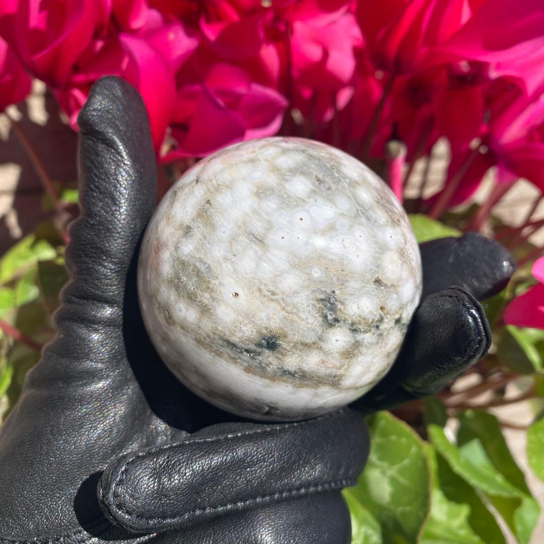 1個限定!! 8thveinジャスパー  エイスベインオーシャンジャスパー