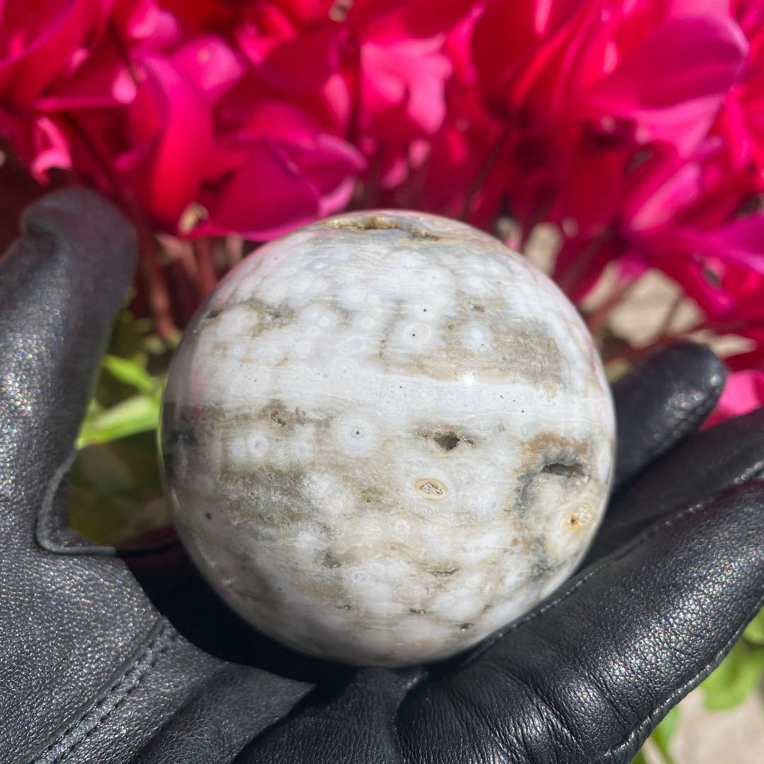 1個限定!! 8thveinジャスパー  エイスベインオーシャンジャスパー