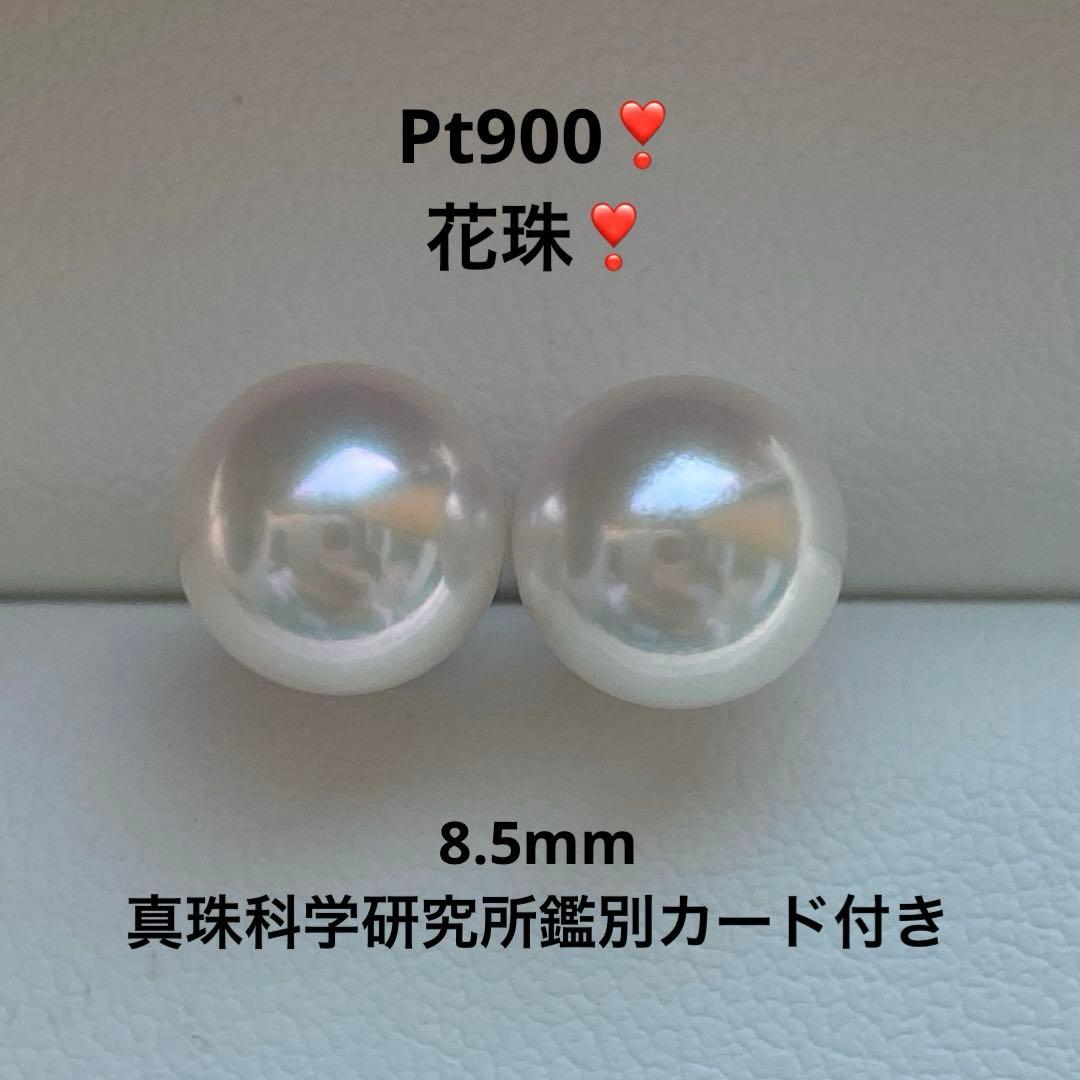 2029 美品❣️Pt900 あこや真珠　花珠　8.5mm ピアス　鑑別カード