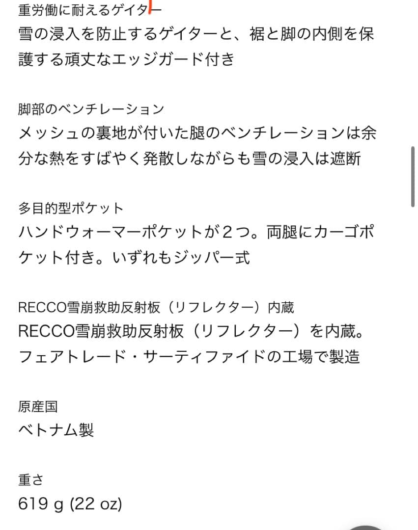 Patagonia メンズ・パウダー・タウン・パンツ（ショート）XS