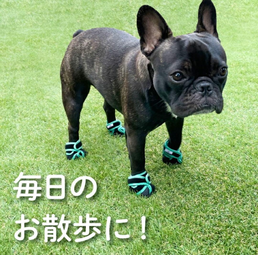 【中古品】いぬたび　XS アップルグリーン　2セット