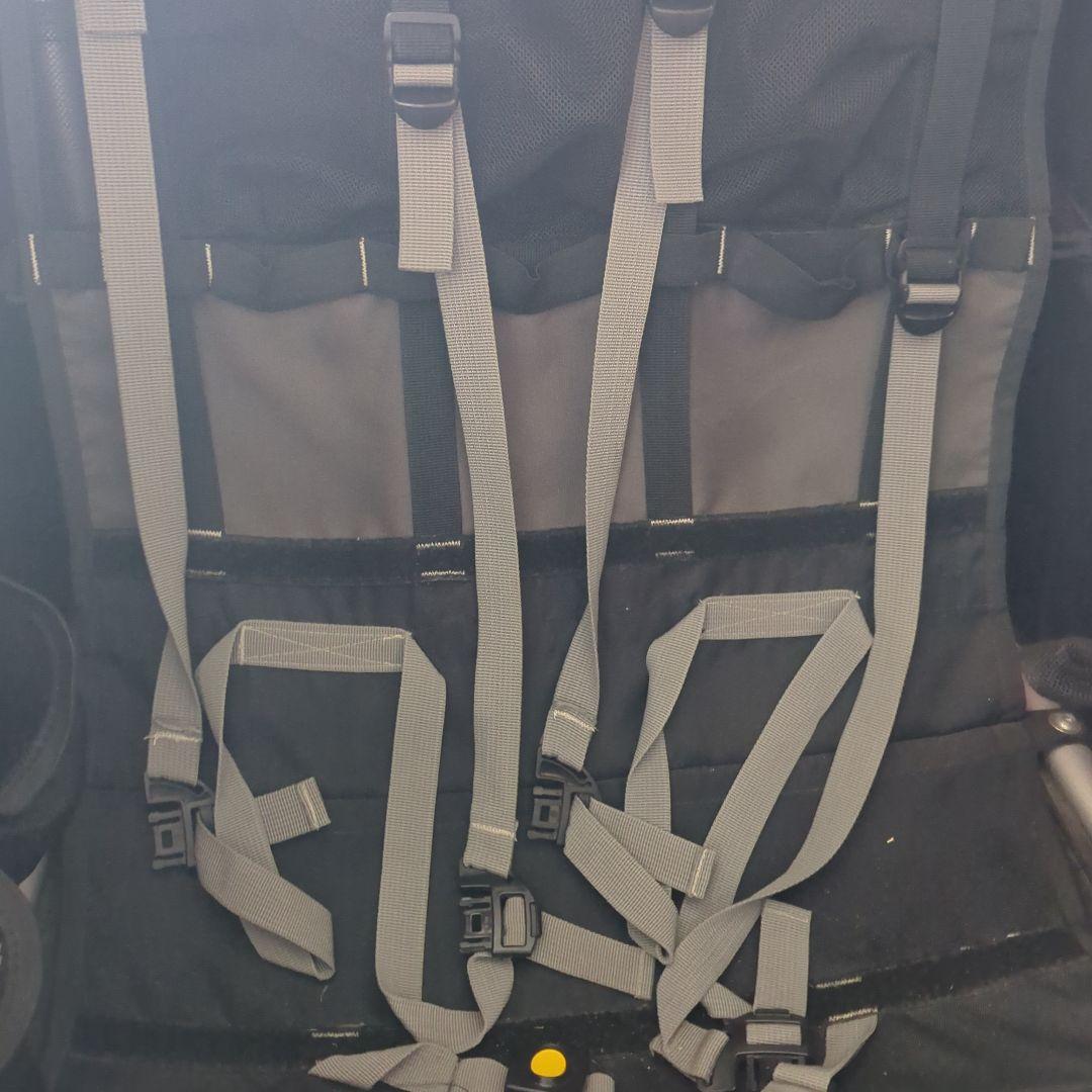 BURLEY HONEY BEE バーレー ハニービー 2人乗サイクルトレーラー