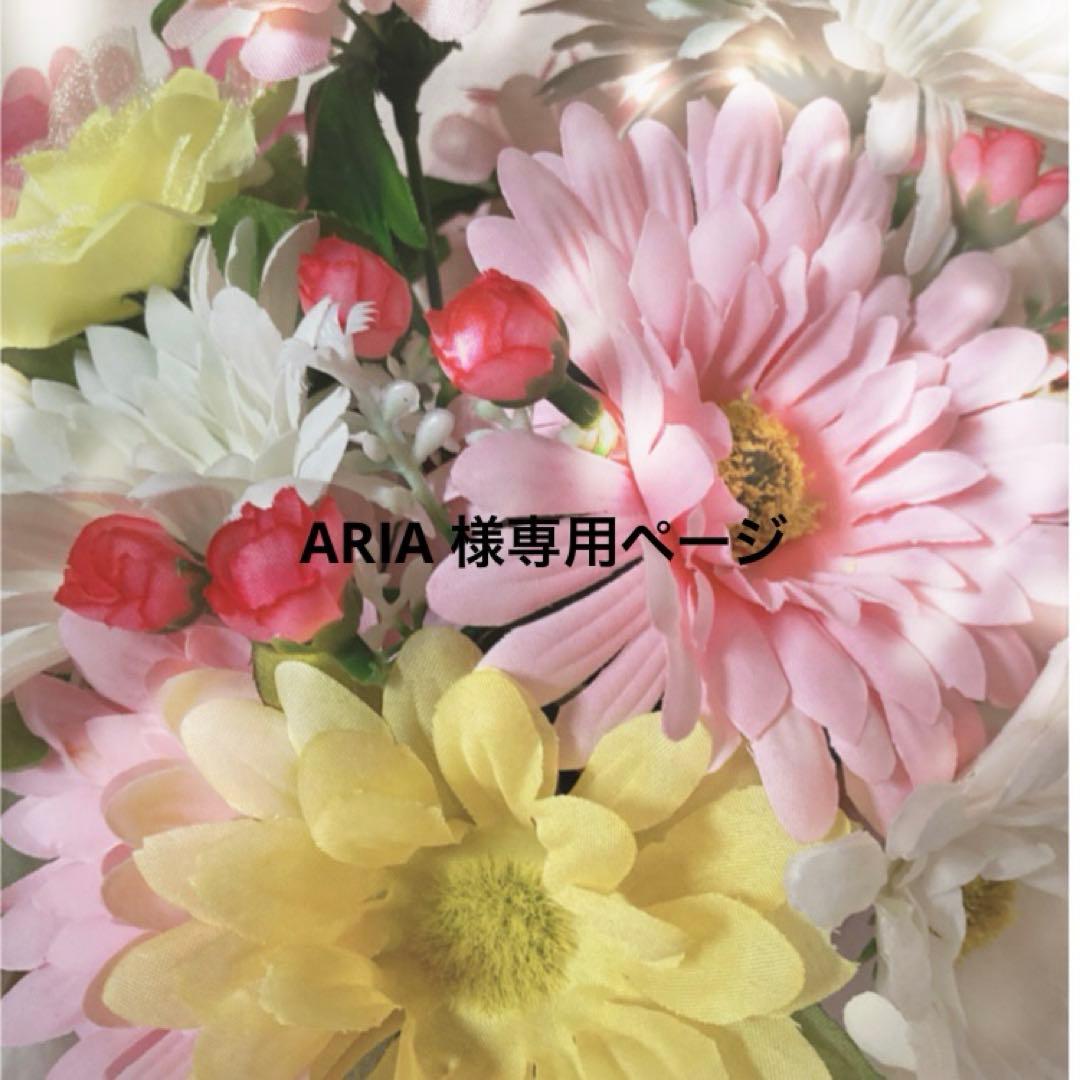 ARIA ページ