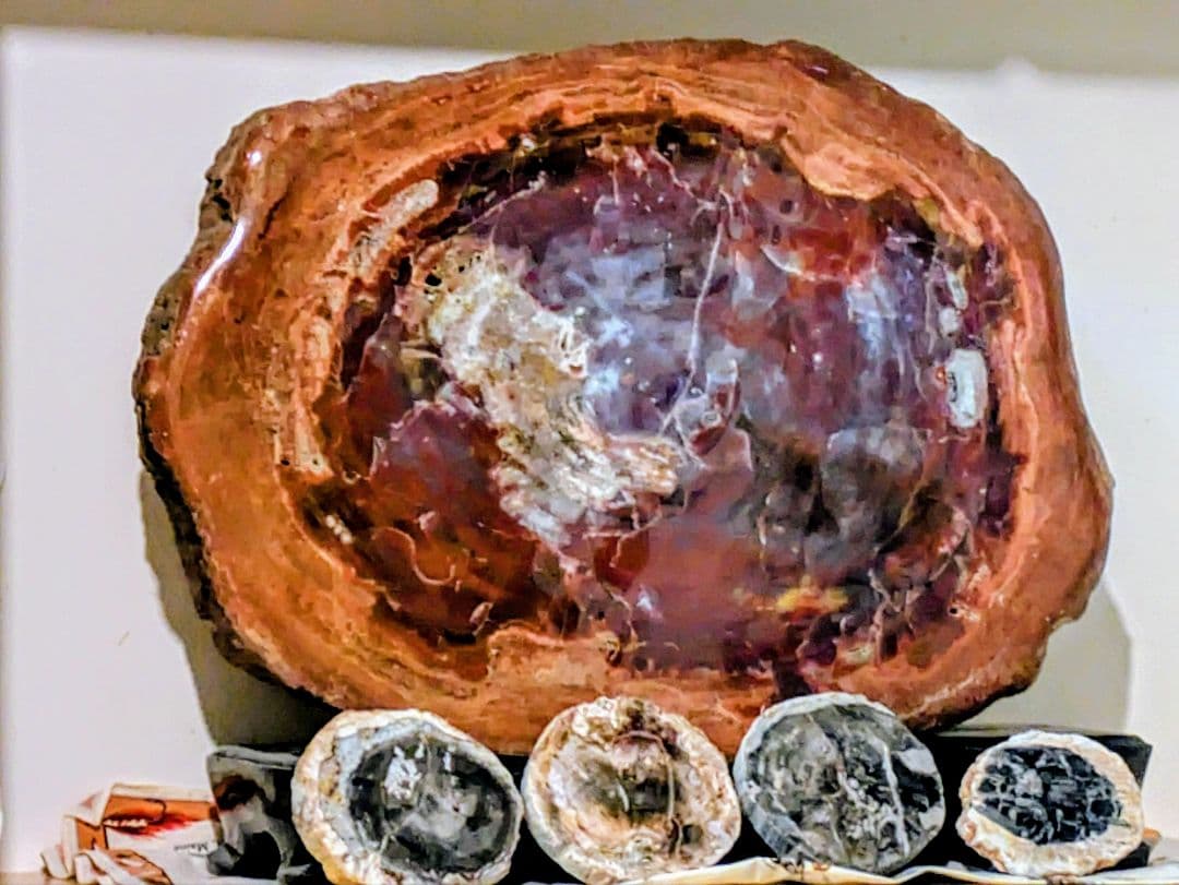 珪化木、木の化石 アリゾナ州産 重量は約15kg 台座約3kg、合計約18kg