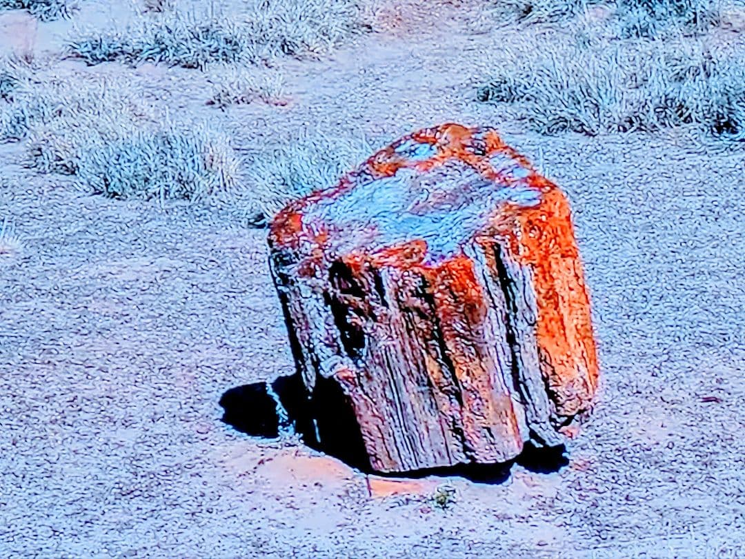 珪化木、木の化石 アリゾナ州産 重量は約15kg 台座約3kg、合計約18kg