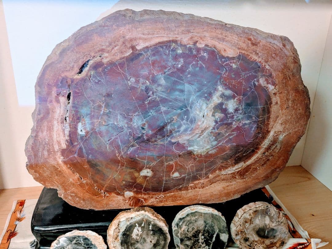 珪化木、木の化石 アリゾナ州産 重量は約15kg 台座約3kg、合計約18kg