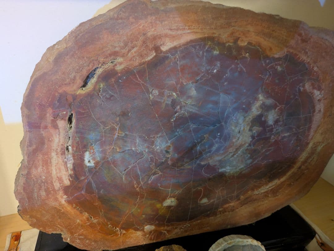 珪化木、木の化石 アリゾナ州産 重量は約15kg 台座約3kg、合計約18kg