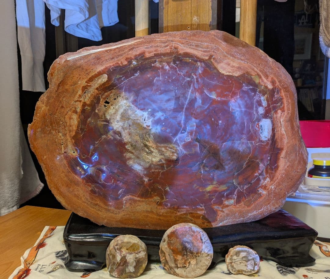 珪化木、木の化石 アリゾナ州産 重量は約15kg 台座約3kg、合計約18kg