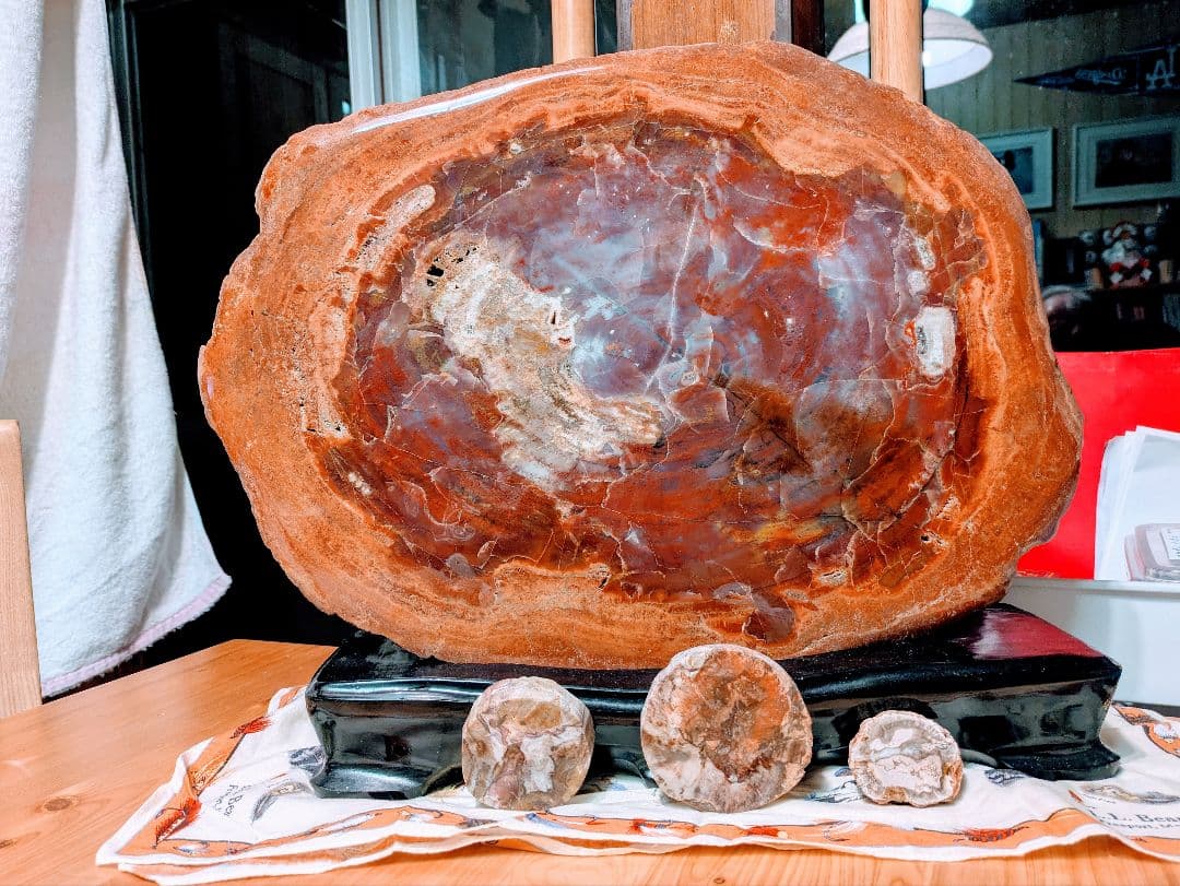 珪化木、木の化石 アリゾナ州産 重量は約15kg 台座約3kg、合計約18kg