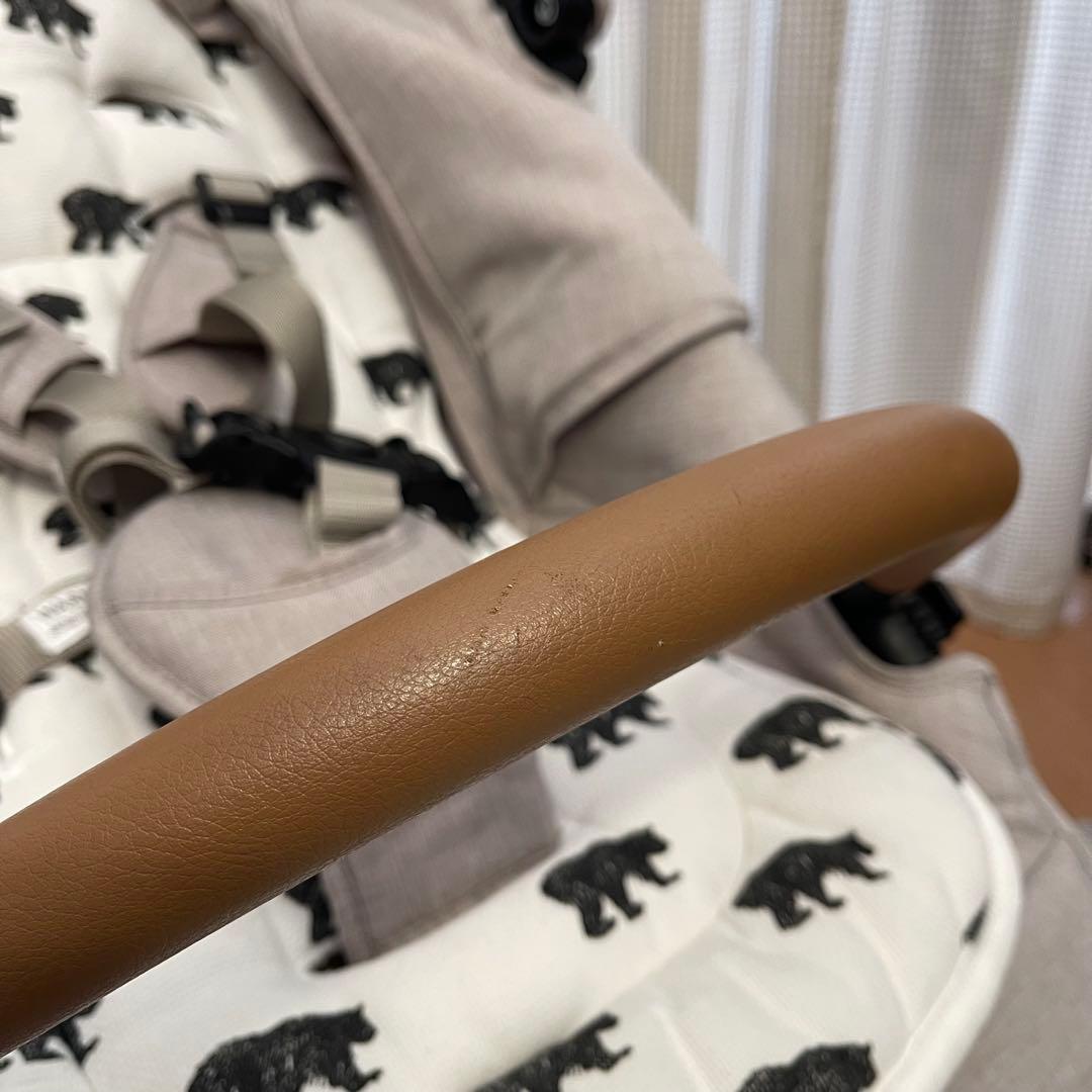 極美品！エアバギー　AirBuggy ココブレーキ EX フロムバース