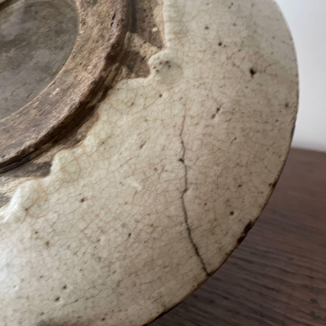 瀬戸　馬の目皿　大皿　皿