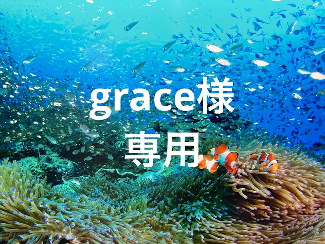 エンビロンCクエンスアイジェルを2本