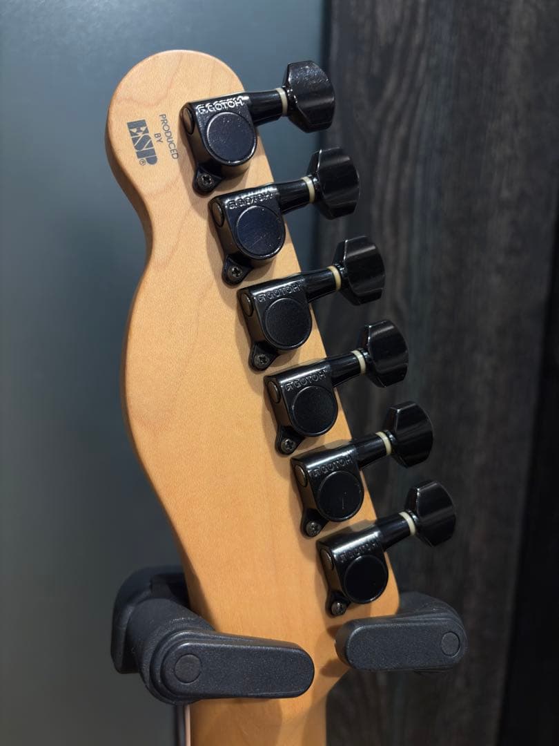 Edwards by ESP E-D-TE Dieモデル