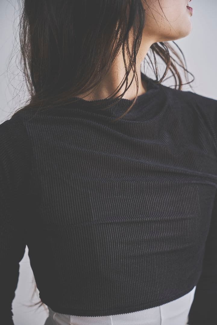 a*i様 Retune.sheer velour tops スティナ　トップス