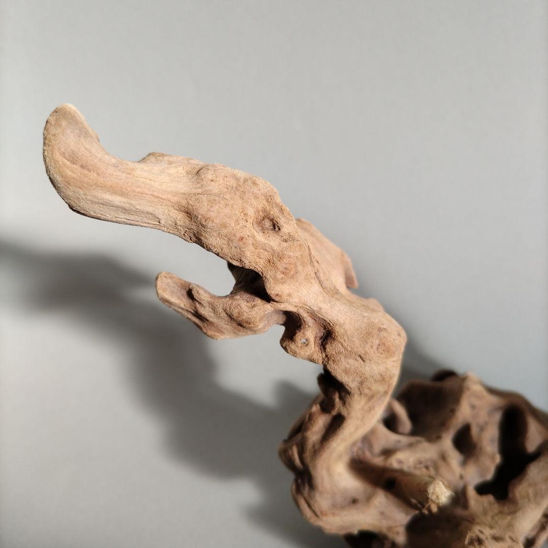 【匿名配送】マングローブ系流木 龍形