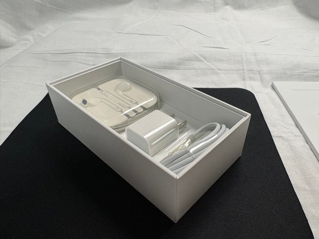 【美品/SIMフリー】iPhone SE 第1世代 Silver 64GB