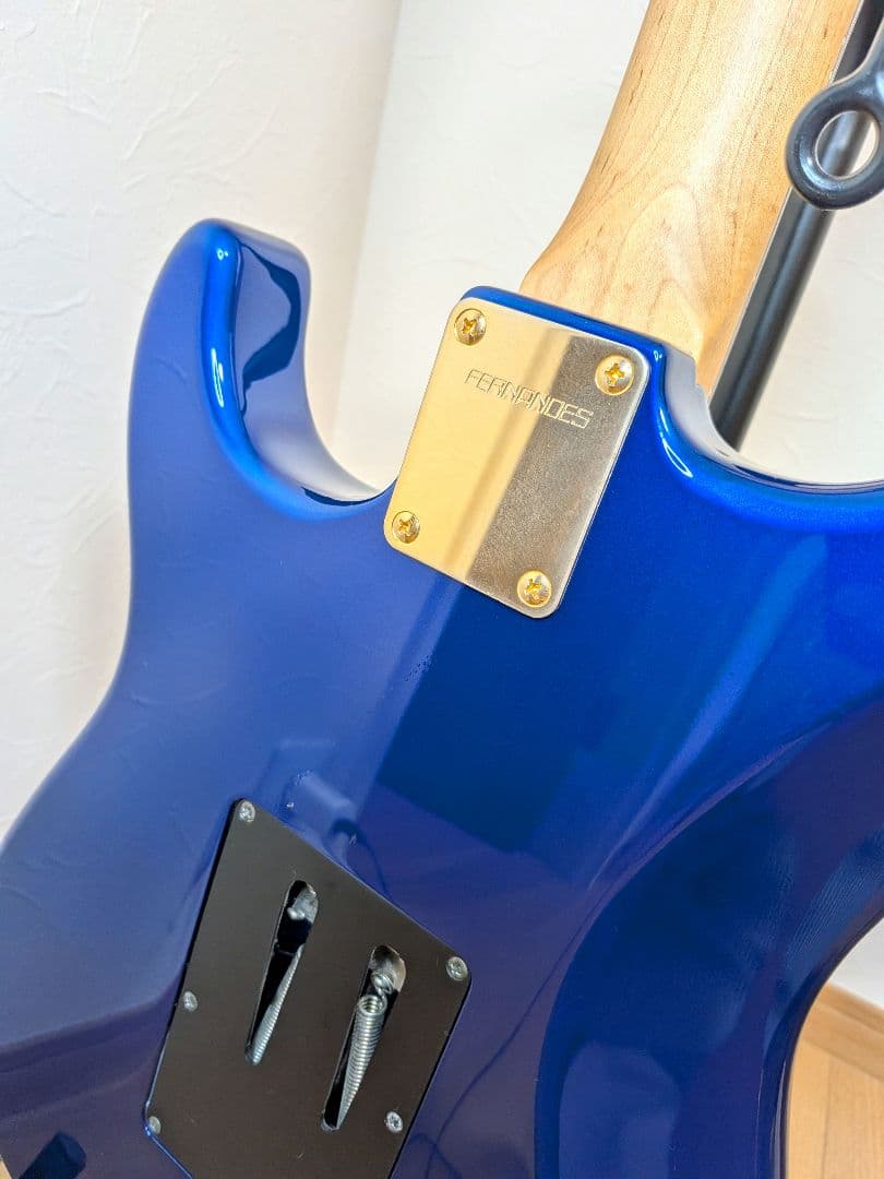 FERNANDES FST-55　SSH