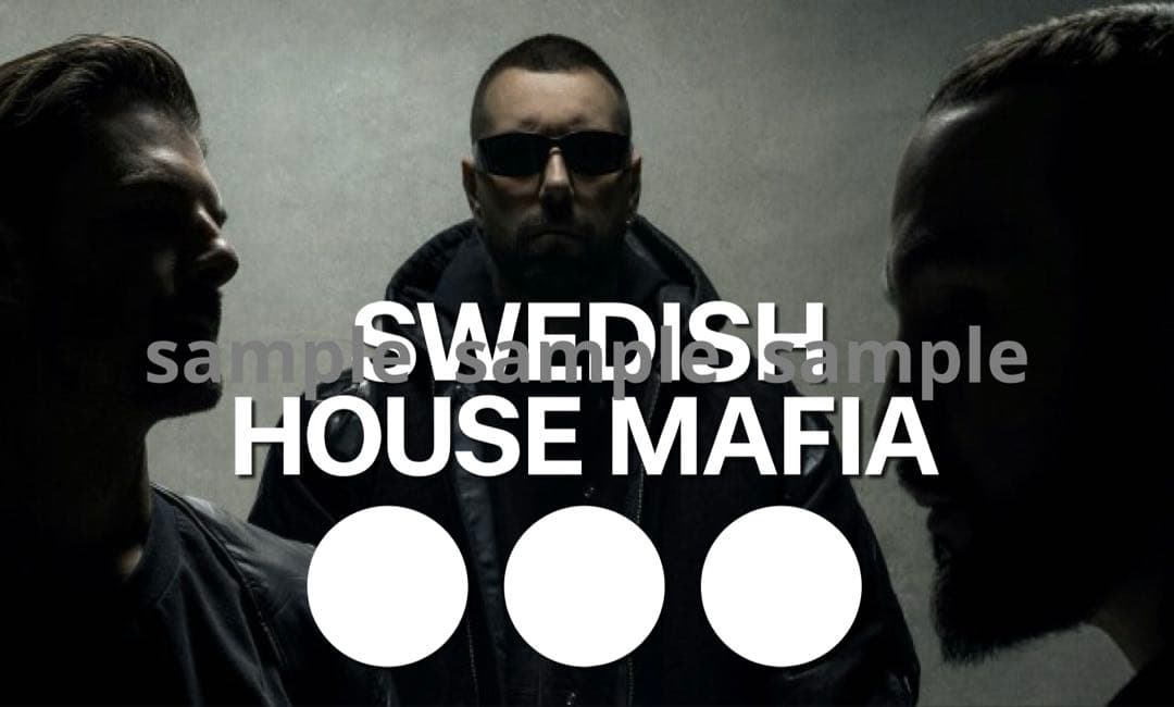 【100%正規品】Z 90×150 2枚セット ハトメ4箇所 1/16