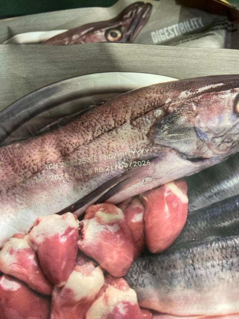 正規品カナダ産 オリジン オリジナルキャット 5.4kg キャットフードx2個