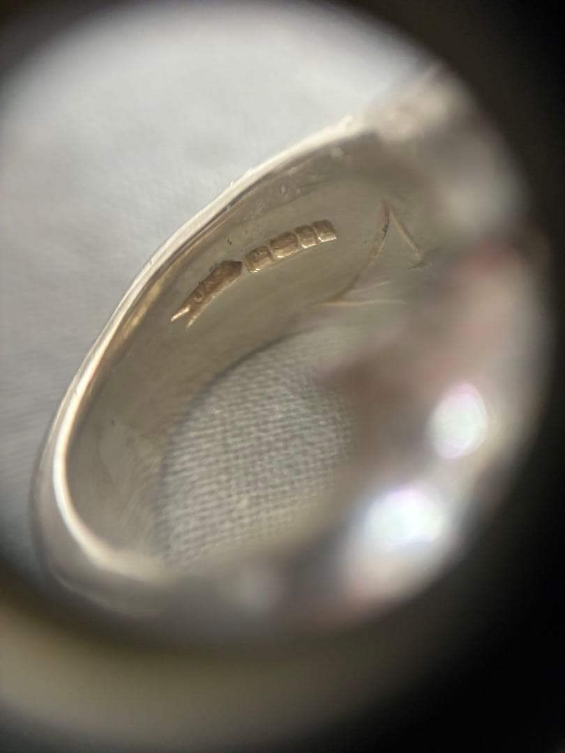 CRAZY PIG EVIL SKULL RING LARGE 15号 正規品