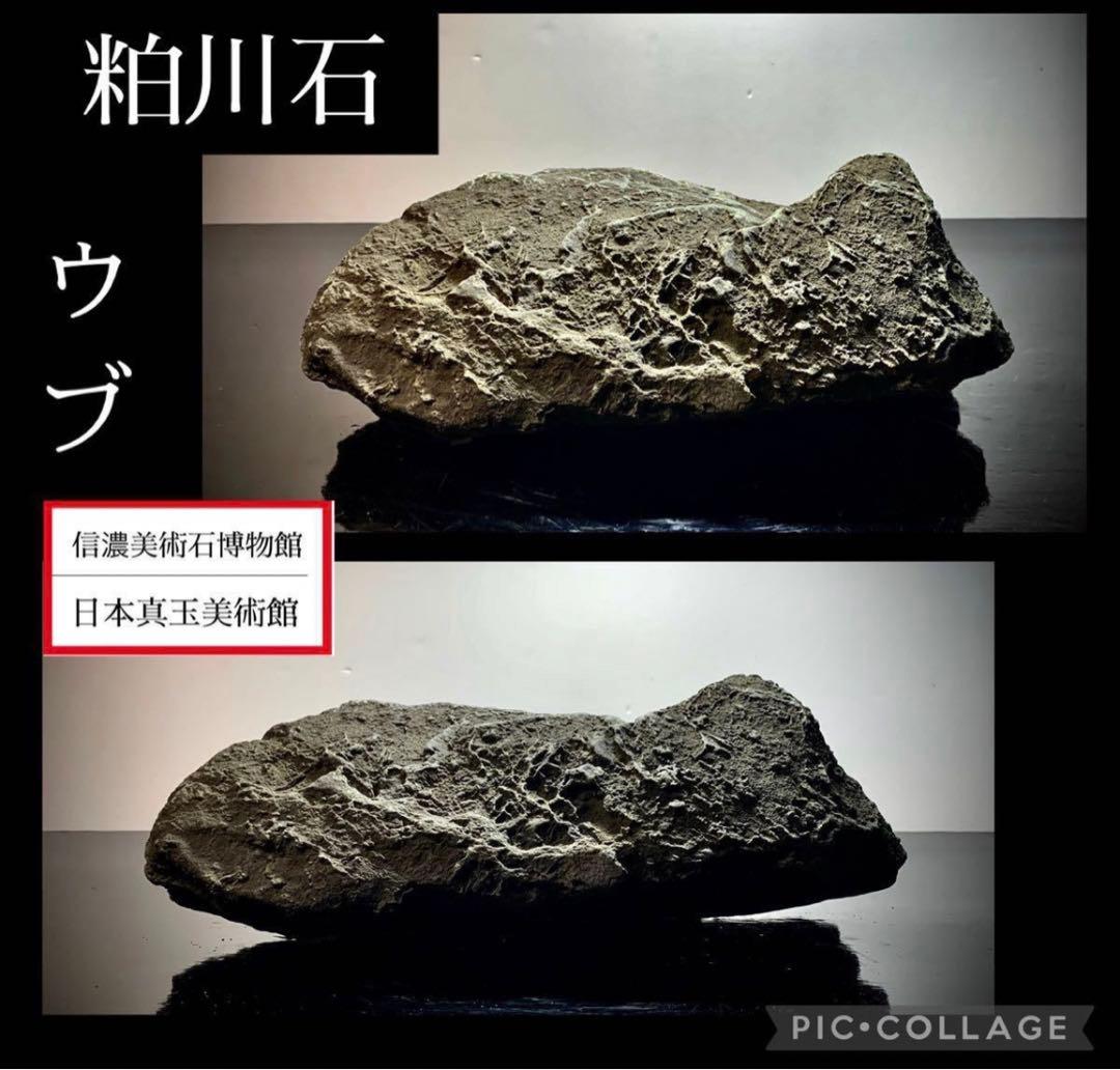 4211 粕川石 ウブ 横25×高10(cm) 4.64kg