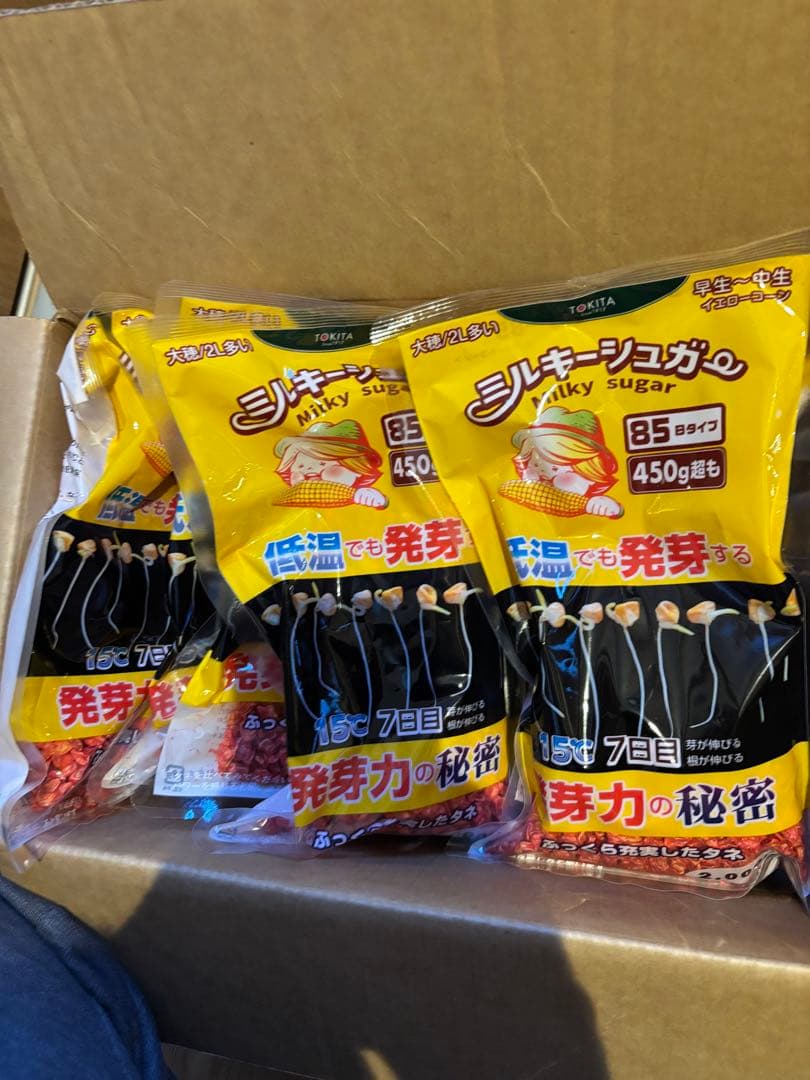 トウモロコシ種「ミルキーシュガー85」1袋