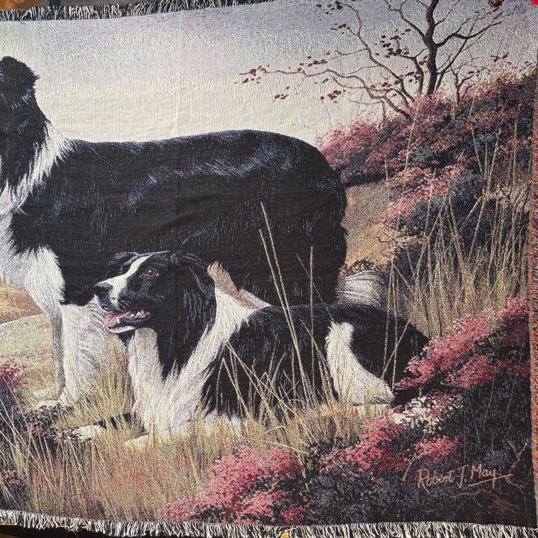 USA製　ヴィンテージ　ボーダーコリー　超大判ラグ　タペストリー　コットン.