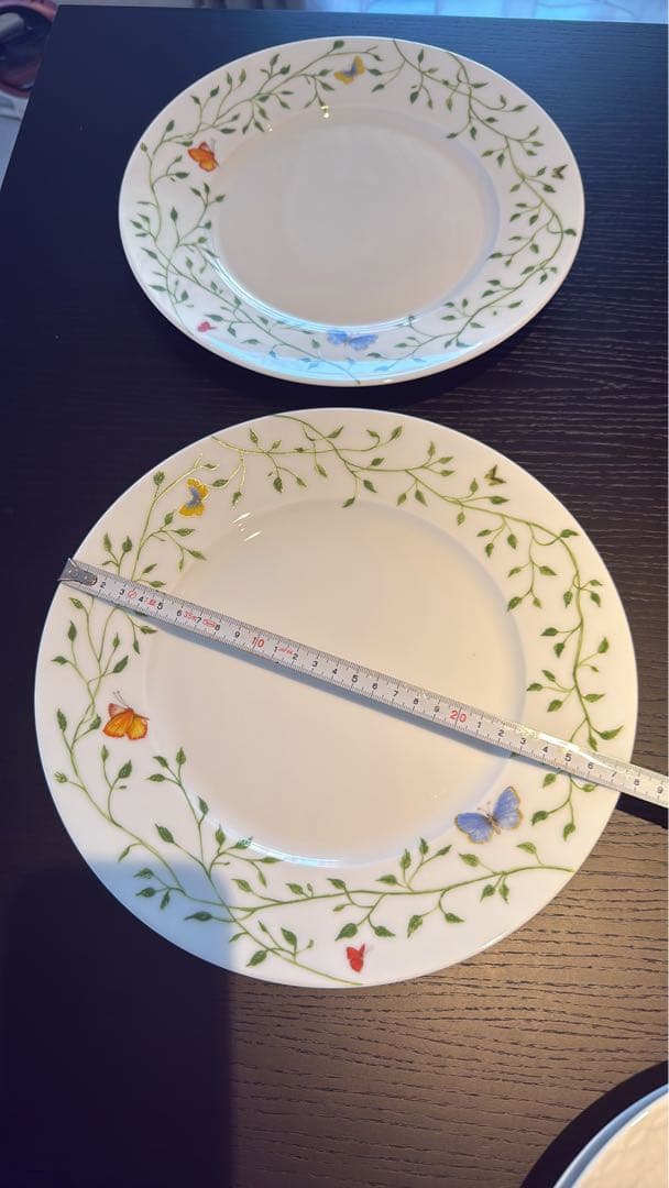 Raynaud ヒストリーナチュール　皿２枚セット