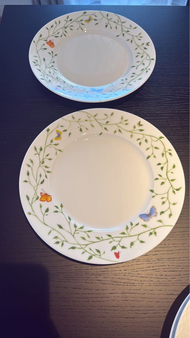 Raynaud ヒストリーナチュール　皿２枚セット