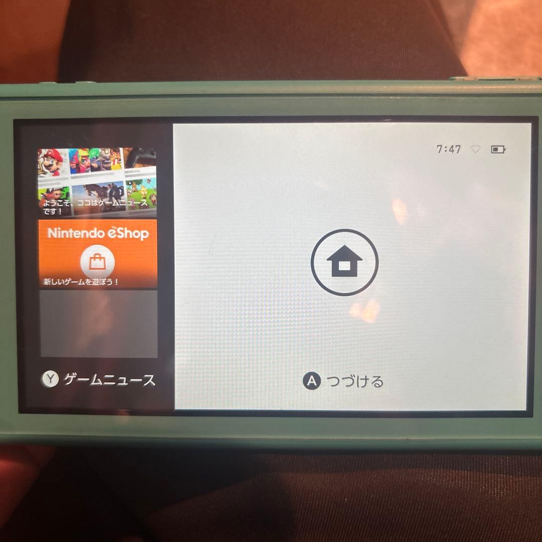 Nintendo Switch Lite➕ケース➕充電器➕ポケモンパール