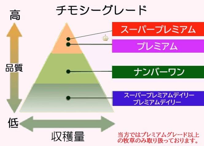 【4/13まで】 カナダ産 チモシー 50kg スーパープレミアム １番刈り