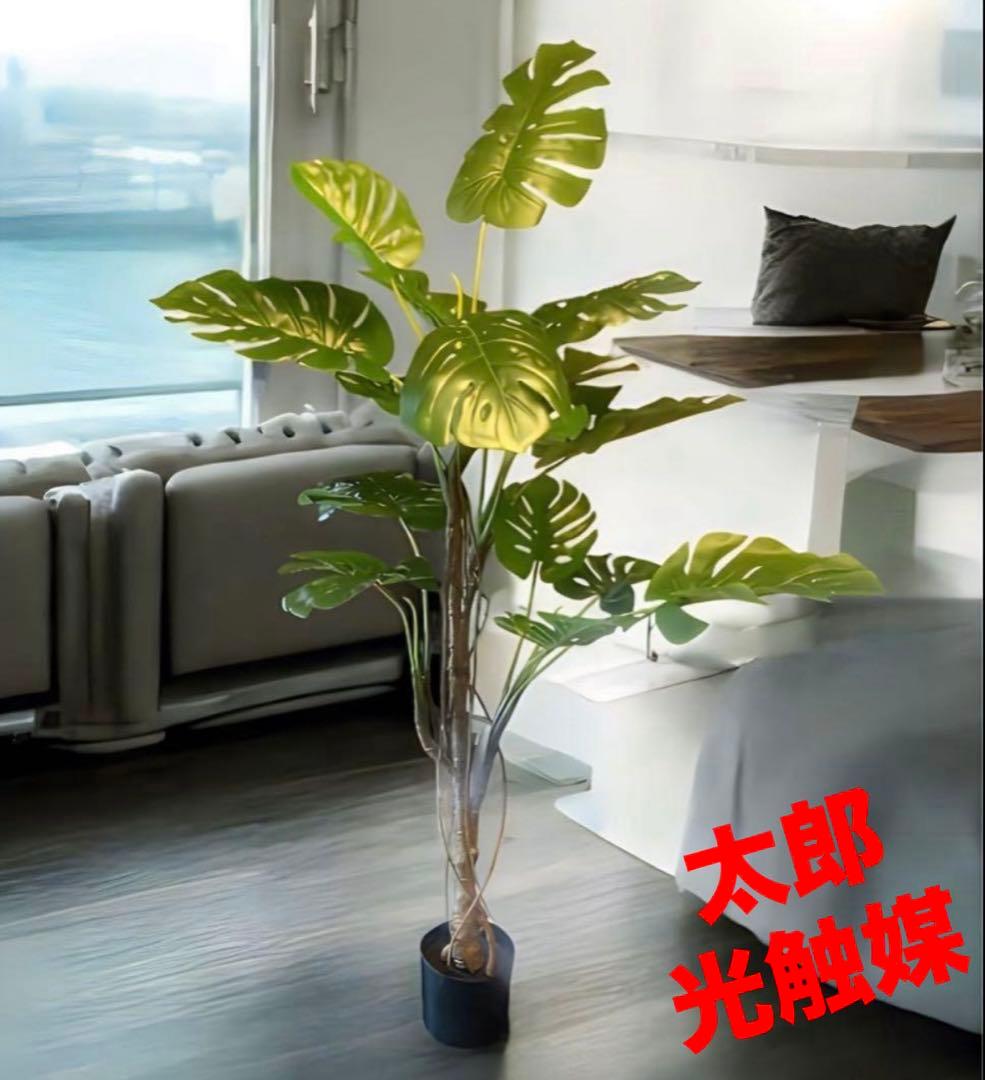 光触媒　人工観葉植物　ウォールグリーン　フェイクグリーン　モンステラ160