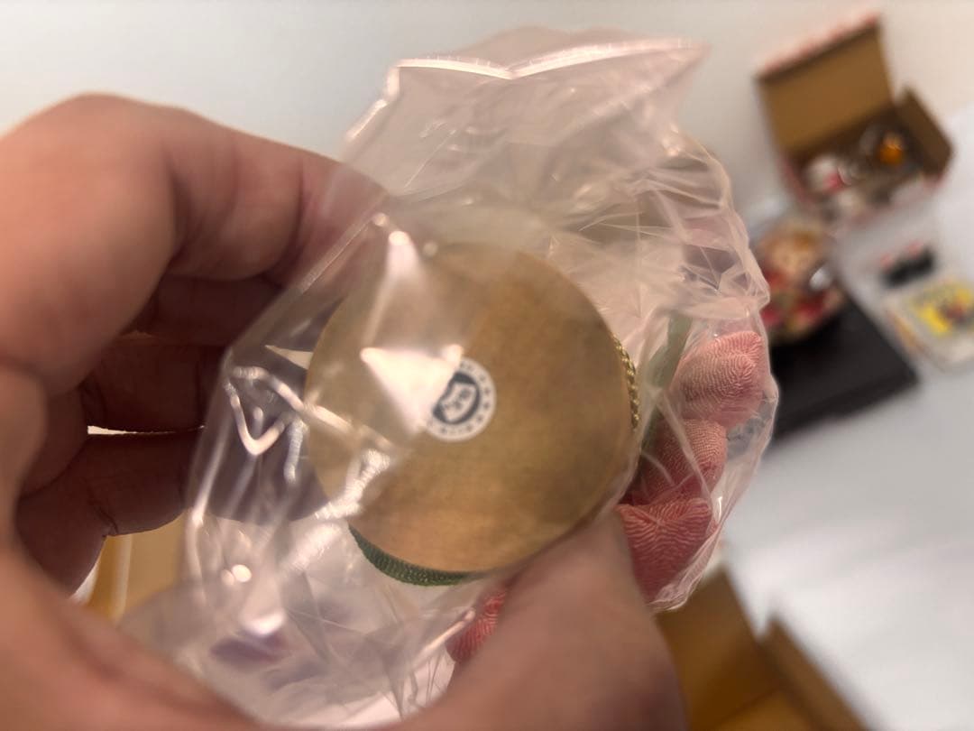 ぼんぼり＆屏風付き・ダッフィー　シェリーメイ　ケース付雛人形　ひな人形　ひな祭り