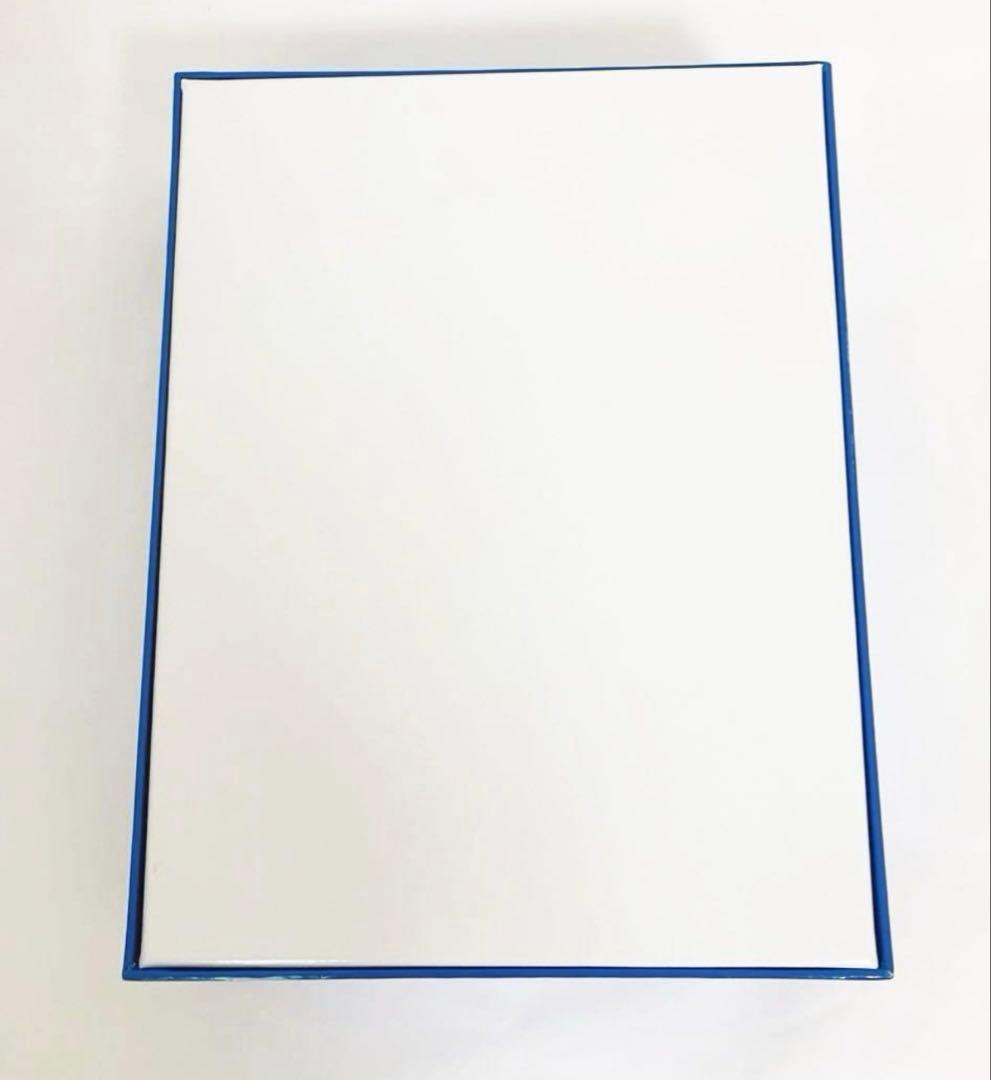 【未使用】DWE ディズニー英語 トレジャーボックス 宝箱 ライトライトペン対応