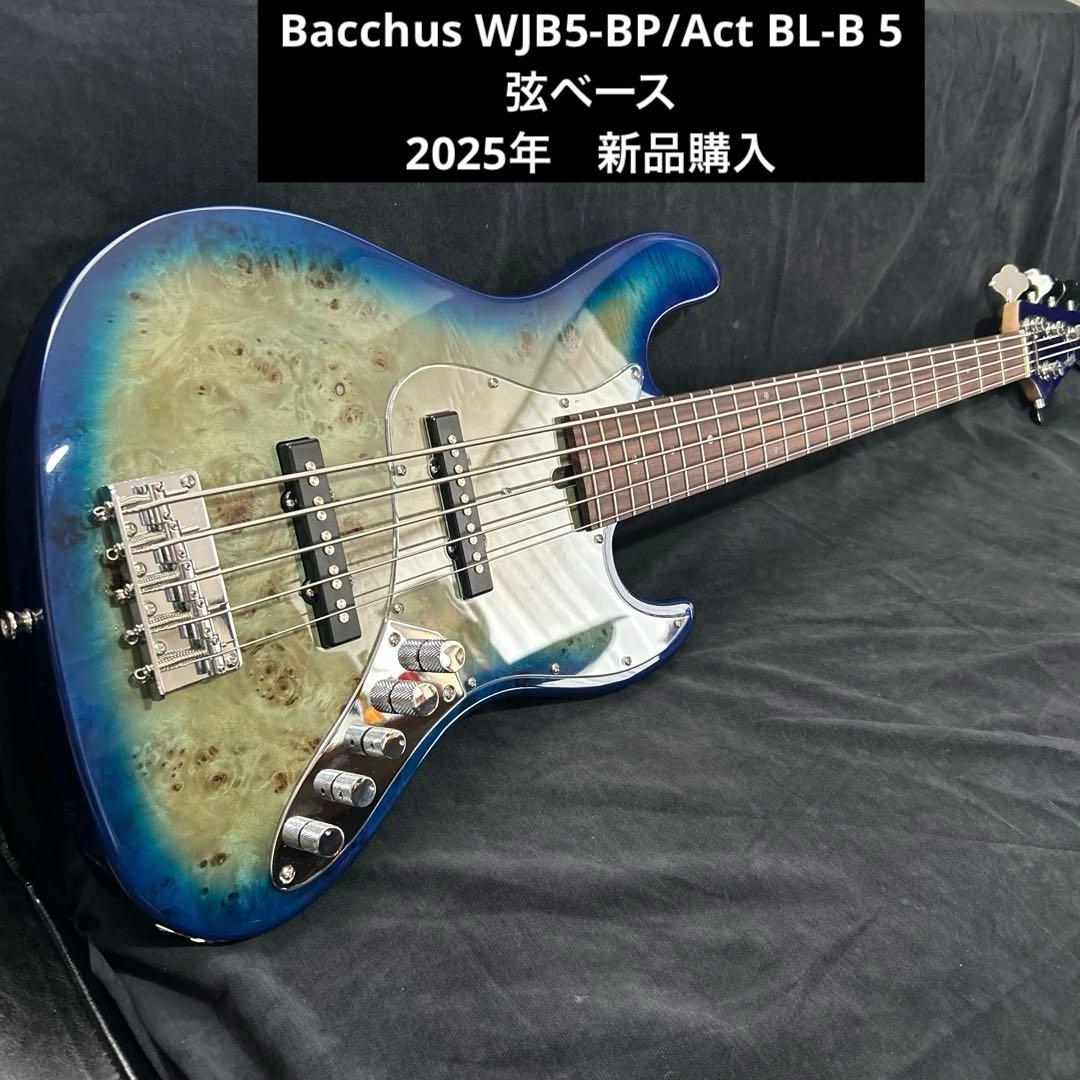 油*圧様 Bacchus WJB5-BP/Act BL-B 5弦ベース アクティ