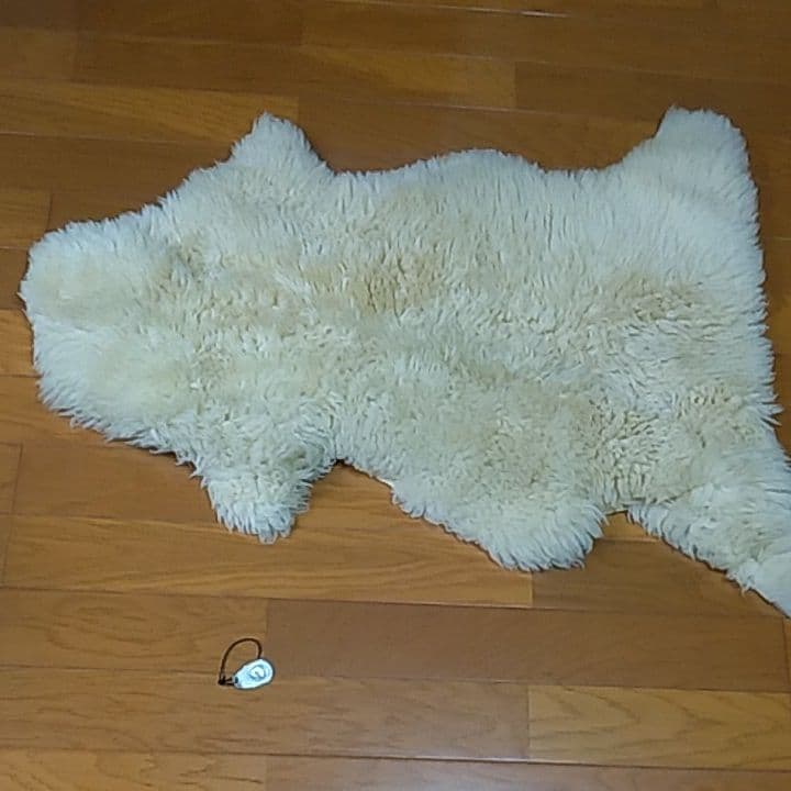 １枚皮のムートン