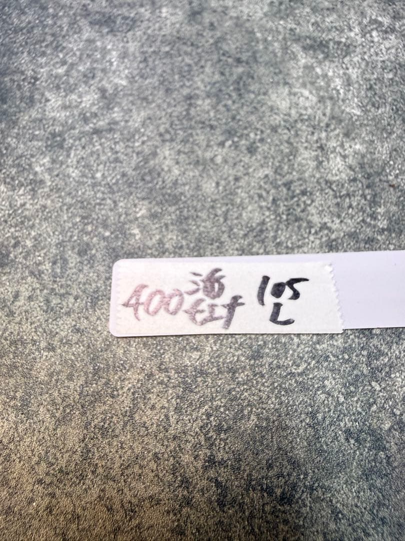 センナ　メリディオナリス　海外実生　発根済み　400