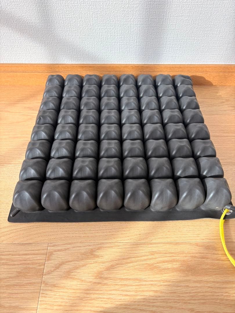 断*学様 ロホクッション　ロータイプ