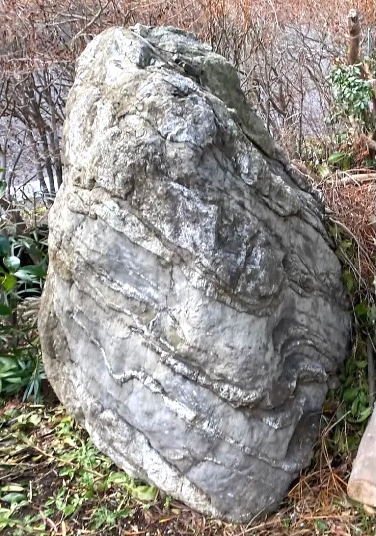 庭石 自然石 大 灰色 約150×80×100㎝【石川県引き取り限定】まとめ割