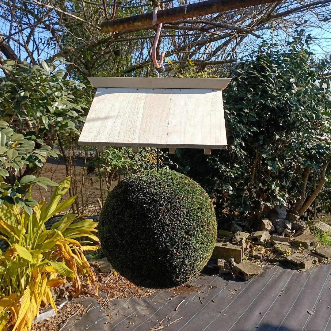 杉玉　直径34ｃｍ　屋根付き