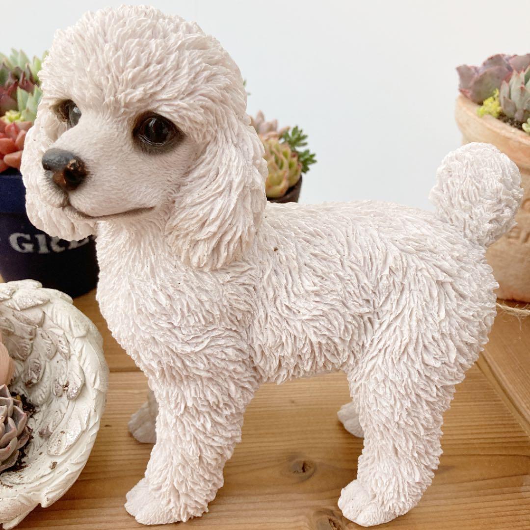 多肉植物　寄せ植え（エンジェル.ウイング鉢♪プードル付き）