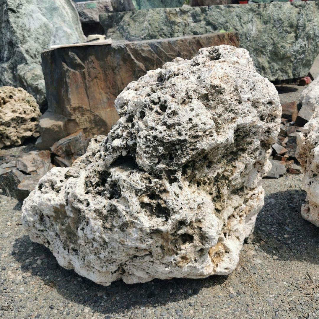 サンゴ石　115キロ　庭石　石　鑑賞石 石材　庭　ガーデニング　置物