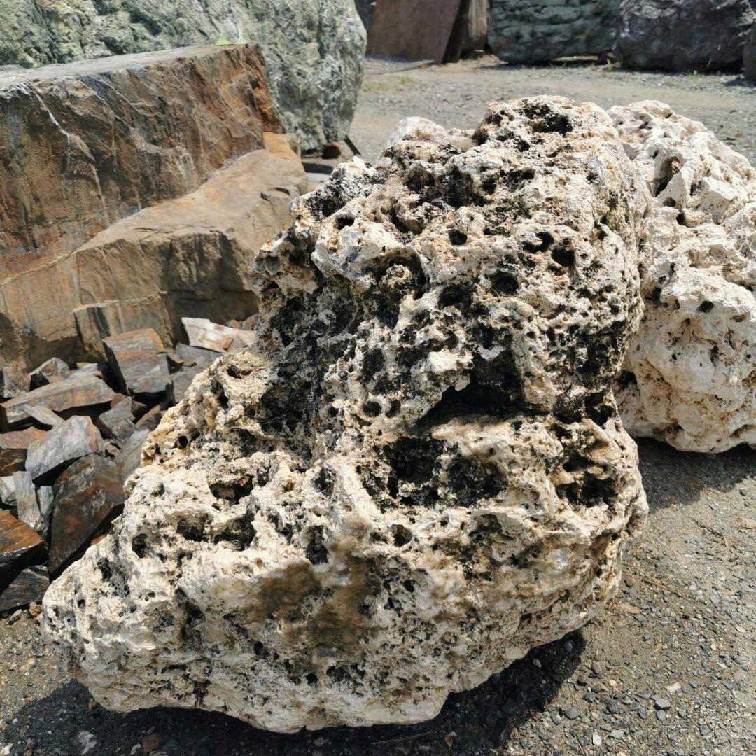 サンゴ石　115キロ　庭石　石　鑑賞石 石材　庭　ガーデニング　置物