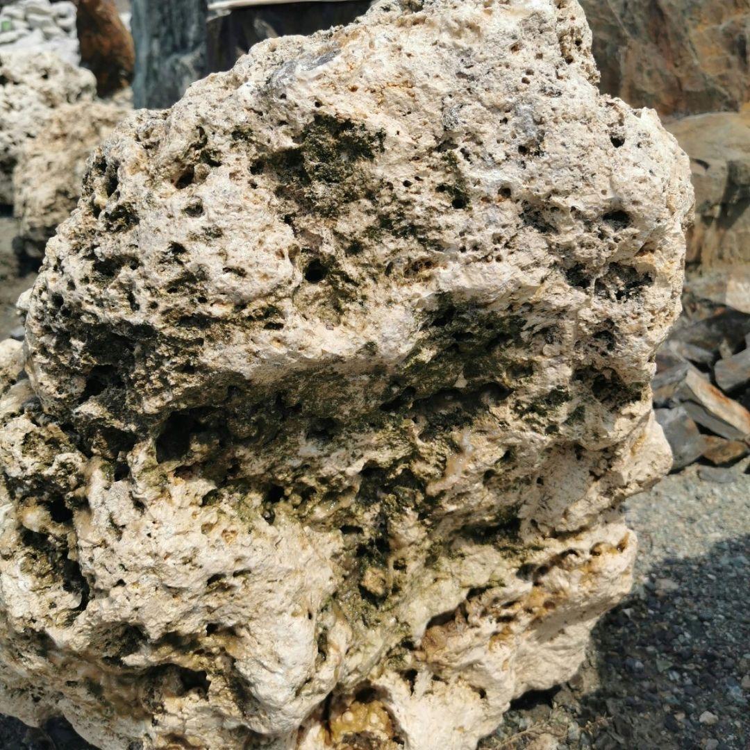 サンゴ石　115キロ　庭石　石　鑑賞石 石材　庭　ガーデニング　置物