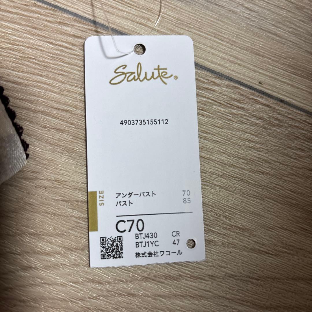 Salute. 花柄刺繍 ブラジャーショーツセット M/C70