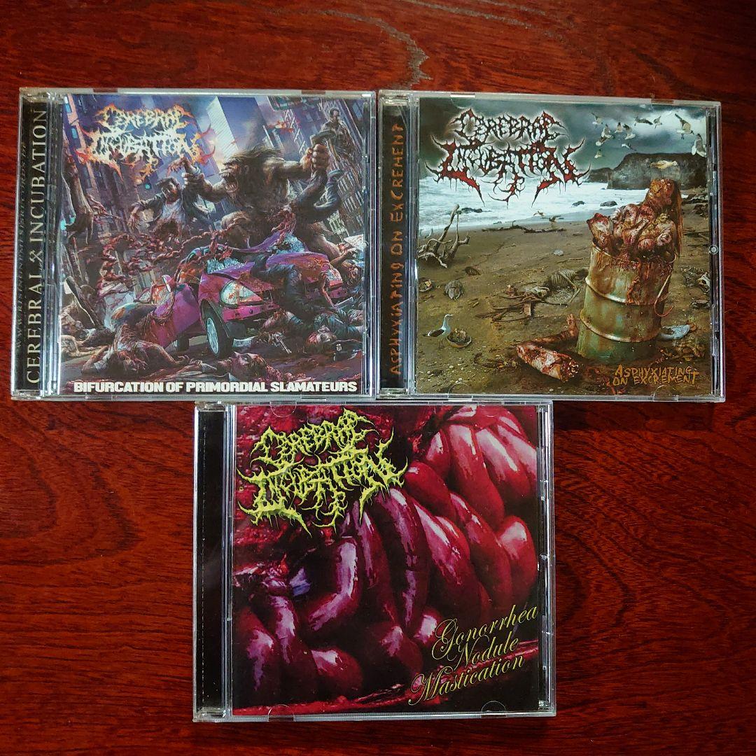 ブルデス スラミング Cerebral Incubation 3枚セット