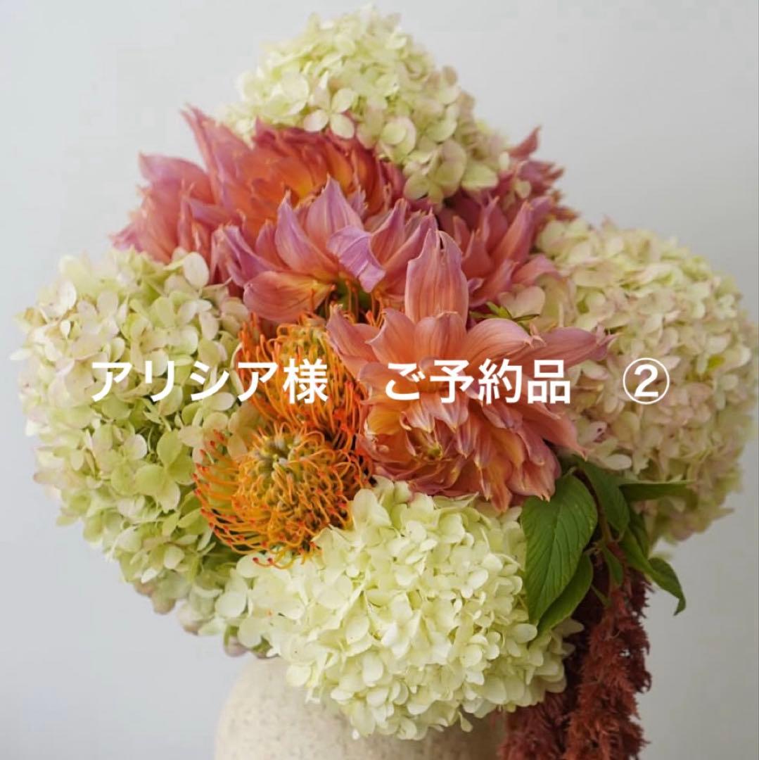 アリシア様　ご予約品②