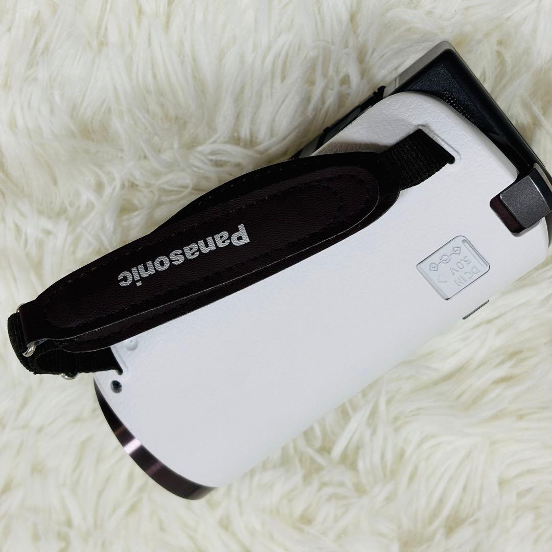 Panasonic ビデオカメラ　HC-W570M ケース付き